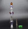 2020 Neu Kommen Nectar Collector 2.0 Micro NC Rohr mit GR 2 Titan Nagel Glas Pfeife Glas Mini Bong Freies Schiff