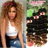 tresses de crochet des cheveux freetrers