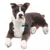 Dorimytrader Pop Realistisches Tier Boxer Hund Plüschtier Große Gefüllte Simulation Hunde Designer Puppe Das Geschenk Kinder 31 Zoll 80 cm DY61895 Anzug