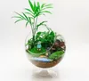 الإبداعية غلوب إناء من النباتات المائية في العالم ، زخرفة المناظر الطبيعية الصغيرة زخرفة الزجاج المنزل إناء مجموعة زخرفة