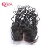 Brazilian Water Wave Human Hair Closure Brazilian Virgin Hair Bleached Knots Lace Closure 4x4 Hair Closure Can be dyed Free Shipping