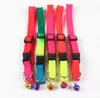 Pet Collar Smycze Dekoracyjne Pet Neck Uprzączki Miękkie Zwierzęta Pies I Kot Łańcuch Neck Chain Cut Pet Naszyjnik Szczenięta Pets Collars