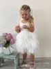 2019 Vestiti delle ragazze di fiore del bambino infantile per la cerimonia nuziale Tutu di pizzo così carino al ginocchio Abiti da spettacolo per bambini da principessa per bambine