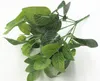 Bitkinin doğrudan bitki duvar duvar yeşil plantasyon simülasyonu retikülat yaprakların 7 satır bırakır