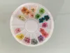 8PcsSet Nails Stickers Wheel 12 Color Real Dry Dried Flower for 3D UV Gel Acrylic False Tips Nail Art Salon7271689