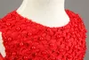 Hurtownia- nowonarodzone niemowlęcia sukienki ślubne Baby Girl Pierwsza suknia urodzinowa dla dzieci dzieci nosza dziewczyny noworoczne czerwone sukienki vestido