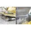 10x15cm HD Clear Plastic Food Grade Bag d'emballage Sac PE PE PE PE PE RESELLABLE SAC