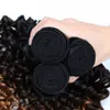 Paquetes de cabello humano de onda profunda de Ombre 3 tonos de color # 1b 4 27 Extensiones de cabello rizado profundo rubio miel Cabello rubio castaño 3 UNIDS / lote