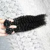 Natural Color Keratin Human Fusion Hair Nail U Tip 100% Remy Human Hair Extensions 100g 1g/strand kinky curly Pre Bonded Hair Extensions