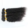 Obearbetat Virgin Brasilianskt hår 4 Bundlar Kinky Curly Virgin Hair Natural Black Kinky Curly Virgin Hair, No Shedding, Tangle Gratis