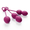 本物のSvakom Nova Luxury Full Silicone Ben Wa Balls 3 in 1 Kegelエクササイズタイトな膣ボールセックスおもちゃ172 174073607610