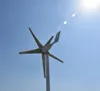 500W Windmill Turbine Generator 12V / 24V 5/3 Blad kombinerad med intelligent vindladdare för hemmabruk