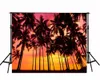 Beautiful Nightfall Sky Scenery Palm Trees Sunset Beach Photography Background Summer Holiday Wedding Photo Backdrops Scenic Wallpaper