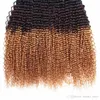 Beaty saç ombre brezilyalı kıvırcık bakire ombre ıslak ve dalgalı bakire iki ton insan örgü Tissage bresilien 3,4,5 adet / grup