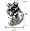 Winzige 3D-anatomische Herz-Halskette, Edelstahl, Silber, poliert, Maxi-Langkette, Schmuck für Damen, NL25846