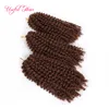Partihandel 8INCH MALIBOB CHRICHET HAIR FÖR SVART KVINNOR Kinky Curly Marley Braiding Syntetic Hair Extension Marlybob Crochet Braids Hair