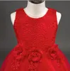 2017 Fashion Flower Girl Bridesmaid Dress Children Red Mesh Slå fjäril Girls Wedding Dress Kids Ball Gown broderad Bow P1770356