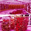 Grow Lights 120x10ワットLEDライト1200Wパネル9バンドフルスペクトル赤青い白UV IRプラントの成長照明ランプ