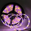 Holiday Lighting LED Strip 5050 RGBW DC12V 60LED/M 5m/lot RGB+White / RGB+Warm White Flexible LED Light LED strips