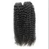 Full Head Hair Weave Skönhet 2st / Lot Obehandlat Virgin Mongolian Kinky Curly Hair Buntar Inga Shedding och Tjock