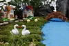 30 pcs frete shiping atacado Mini cisne Jardim Miniaturas De Resina Artesanato artesanato figurin para Decoração de casamento ou mesa de casa decoração do jardim