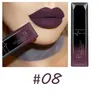 Frauen wasserdichte Make -up -Lippen Glanz Lipgloss Langlebig Pigment Metallic Nackt Matt Lippenstift Bea4669392726