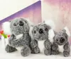 Jouets en peluche koala mignons, poupée, animaux en peluche de 13cm, ours, jolis cadeaux d'anniversaire pour enfants