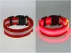 7 cores S M L Tamanho Glow LED Dog Pet Cat Collar Flashing Light Up Nylon Banda Cinto Filhote de Cachorro Noite Segurança Coleiras Luminosas Ajustáveis Su2233758