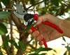 by dhl or ems 50pcs practical and Ergonomic Flower Cutter Grafting Tool Scissors Pruning Shears Garden Trimmer Cutter