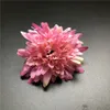 100 pezzi di crisantemo fiori di seta artificiale per la decorazione della casa di nozze 9 cm margherita Mariage Flores decorazione fiori piante2878014