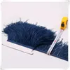 10yardslot Blue Purple Long struisveer Feather Plumes Fringe Trim 1015cm Feather Boa Stripe voor feestkledingkleding Skrits Accesso8437900