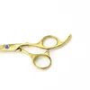 Hair scissors 5.5 INCH Hairdressing scissors Golden Hair shears Hair thinning scissors Blue stone Lyrebird NEW