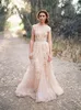 2017 New Elegant Champagne Wedding Dresses A-Line Lace Tulle Appliques V-Neck Wedding Party Bridal Gowns QC296