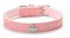 Armi store Strass Couronne Charme Décoration Pet Chien Chat Collier Princesse Colliers Pour Chiens 6041024 Chiot Laisses Fournitures G485