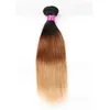 Bundles de cheveux vierges brésiliens blonds 1B/27 1B/4/27 1B/99j 1B/30 1b/rouge Ombre cheveux raides tisse des Extensions de cheveux humains