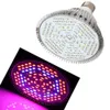 220V / 110V 28W 30W 50W 80W E27 Led растут свет лампы для растений овощи полный спектр растений свет гидропонная система цветение