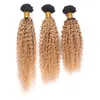 Kinky Curly Virgin Indian Honey Blonde Ombre Bundles de Tissage de Cheveux Humains 3Pcs Lot Deux Tons 1B / 27 Brun Clair Ombre Extensions de Cheveux Humains