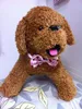 40pc/lot Dog Apparel polyester&silk butterfly pet dog cat puppy bow tie PE012