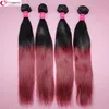 Braziliaans steil haar Weave Ombre Menselijk Haar Inslag Two Tone Color 100 Peruvian Hair Bundels 1B / 27 1B / 30 1B / 99J 1B / Rood