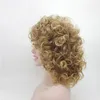 Fashion Women Mediunlength Wigs Curly Hair Wave Wigs Mediunlength Hair Natural 100 Heat synthic Fiber Wig5766077