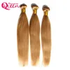 #27 Honey Blonde Color Ombre Brazilian Straight Hair Bundles Ombre Virgin Human Hair Weaves 3 Pcs Ombre Human Hair Extension