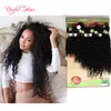 8pcslot human hair extensions 브라질의 꼬인 곱슬 머리 weaves marley 250g 금발 확장 직조 직조 Closureburgundy color weave4142345