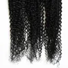 Svart Brasiliansk Kinky Curly Virgin Hair Human Hair Weave 300g Tissage Kinky Curly Obehandlade Virgin Brasilianska Hårförlängningar Bundlar 3st