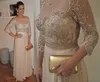 Charmoso See através da mãe dos vestidos de noiva 3/4 mangas berçam faixa de tamanho personalizado champanhe vestidos convidados de convidados vestido de festas de concurso