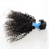 Kinky Curly Virgin Hair 100g 1pcs Curly Weave Mänskliga hårbuntar 4b 4c Naturfärg Mänskligt hår vävar en bit