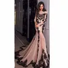 Pink And Black Mermaid Evening Dresses 2022 Long Sleeves Court Train Lace Appliques Sexy Sheer Neck Lace-up Back Formal Prom Evening Gowns