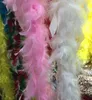 Veer boa 200 cm burlesque showgirl kip nacht fancy jurk party dance kostuum accessoire bruiloft diy decoratie 17 kleuren