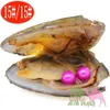 Gefärbte Perlen, Akoya-Austern, Perlen, 6–7 mm AAAA-Rundzwillinge, 28 farbige Süßwasserperlen, vakuumverpackt, handgefertigter Schmuck