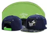 Cayler Sons Lost Baseball Sun Caps Gorras Bones Sports Brand Snapback Hats for Men Hip Hop Cap Hurtowa moda list