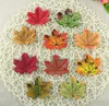 Feuilles d'érable artificielles en soie, pour décoration de maison, fête de mariage, artisanat de Scrapbooking, multicolore, fausse fleur vive d'automne, G961